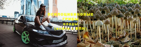 соль курить ск Алзамай